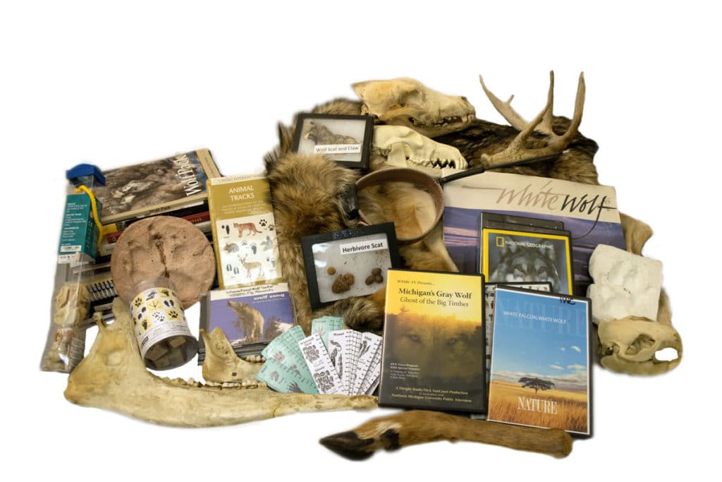 Wolf Discovery Kit 