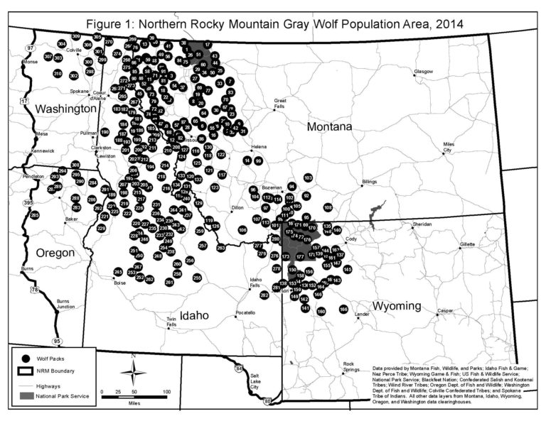 Idaho Wyoming wolf packs | International Wolf Center