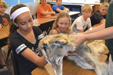 Students find their “pack members” during a scent activity.