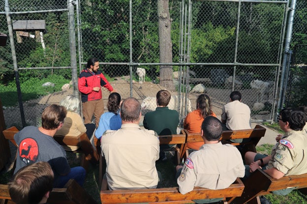 International Wolf Center On-Site Programs