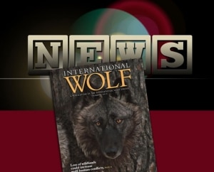 In Depth - News