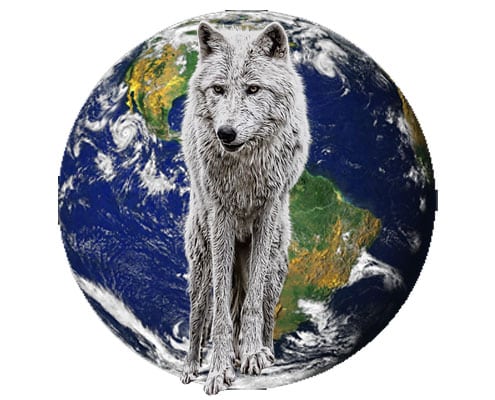 Wolves of the World