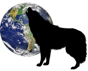 Wolf Agencies Organizations or Groups