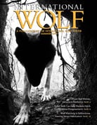 cover_summer2019