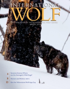 winter2019_coverlg