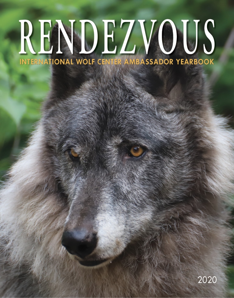 YearBook_2020 | International Wolf Center