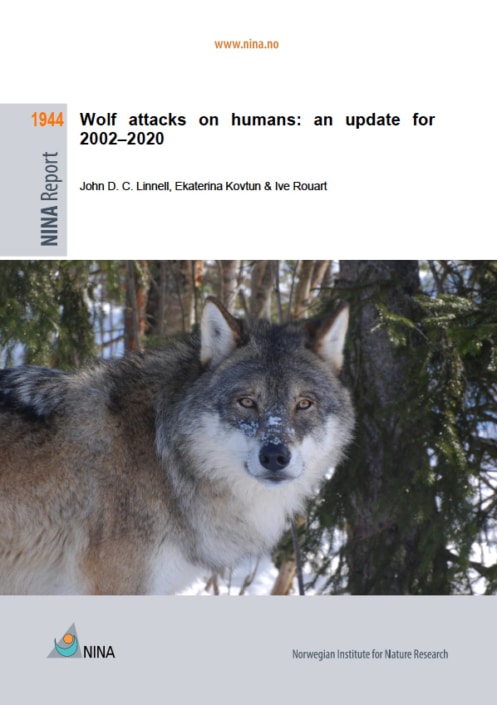 Are wolves dangerous to humans? New report shares key detail