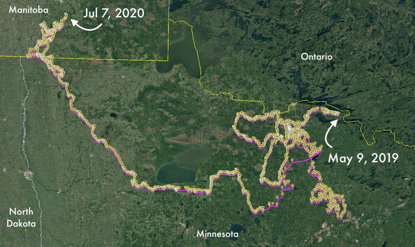 what-s-a-lone-wolf-and-why-do-wolves-disperse-international-wolf-center