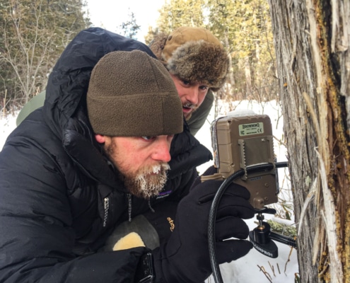 Trailcams Have Changed, Improved Biology Research for 100 Years