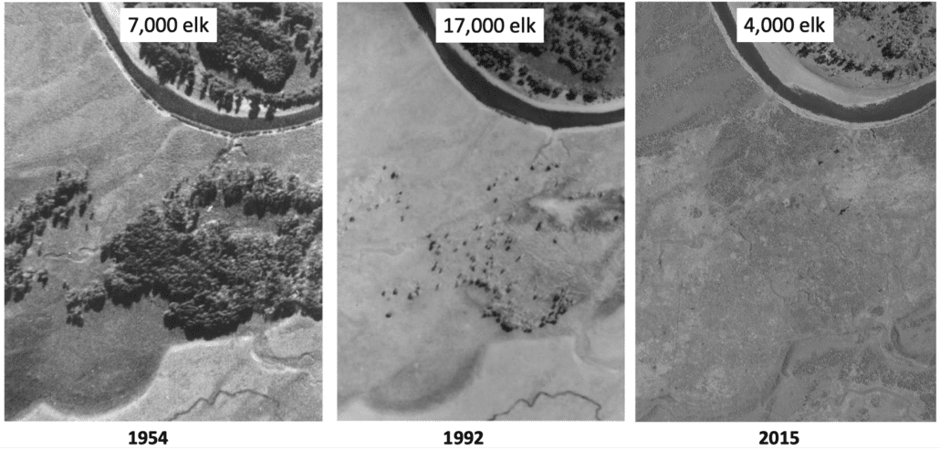 Brice et al. 2022 (Ecology Letters)