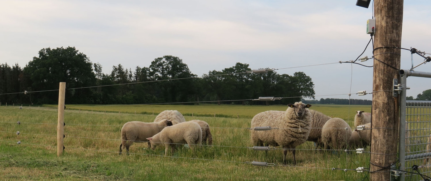 Wolf-deterrent five row electric permanent fence.