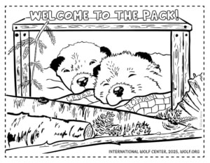 The Coloring Den: Cedar and Rowan coloring sheet