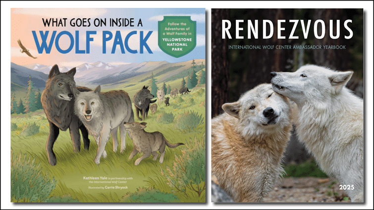 Coloring Book Contest Prizes: What Goes on Inside a Wolf Pack and Rendezvous Ambassador Yearbook