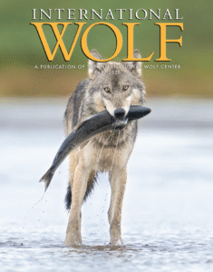International Wolf Magazine - Fall 2025