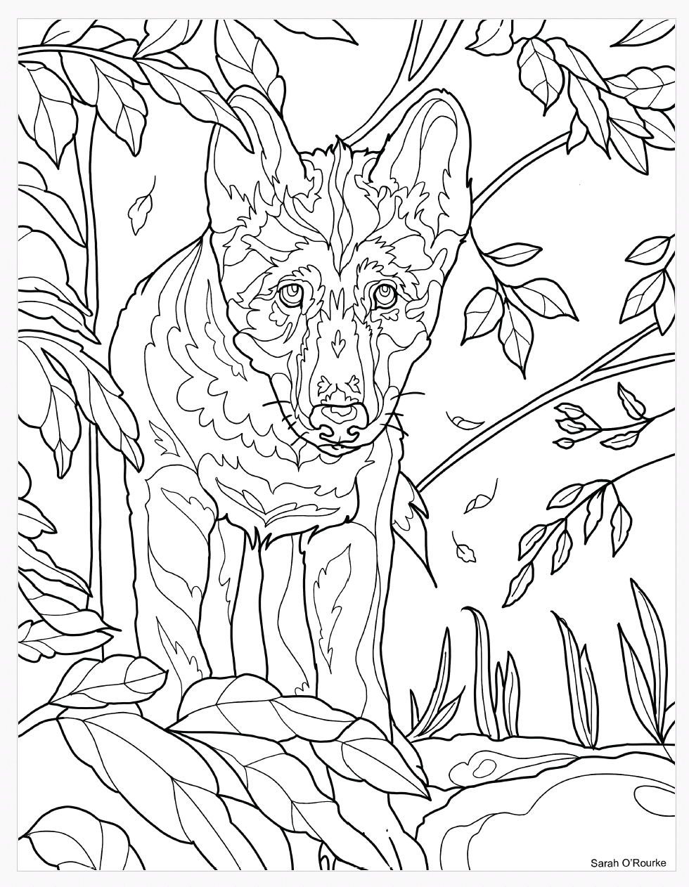 01 SarahO_coloringsheet The Coloring Den - Wolf coloring sheet by Sarah O'Rourke