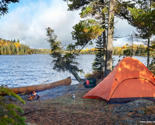 Living with Wolves: Wolves that stay close to campgrounds are rare; however, untidy campsites where food scraps remain are known to attract a wide variety of wild animals, which sometimes include wolves. Living with Wolves: Wolves that stay close to campgrounds are rare; however, untidy campsites where food scraps remain are known to attract a wide variety of wild animals, which sometimes include wolves.
