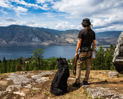 Living with Wolves: Always monitor your pets and keep them within visual range with voice control or on a leash. Living with Wolves: Always monitor your pets and keep them within visual range with voice control or on a leash.