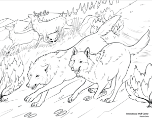 KaitlinS_ColoringPage The Coloring Den - Kaitlin S. Coloring Sheet
