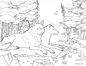 Neil Kowalkowski Neil Kowalkowski