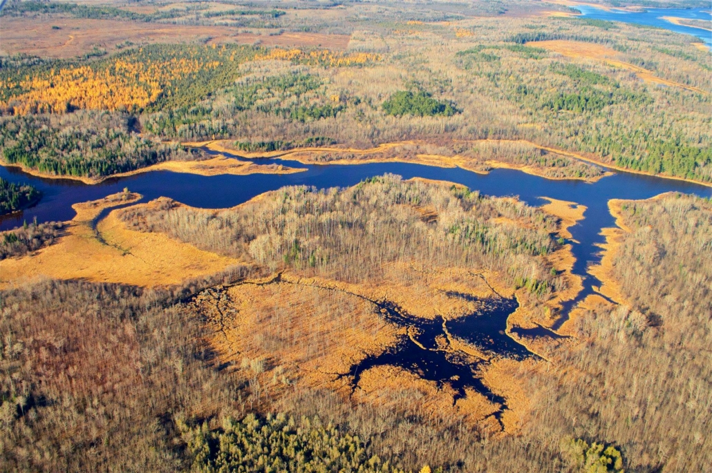 BeaverDamsandPonds